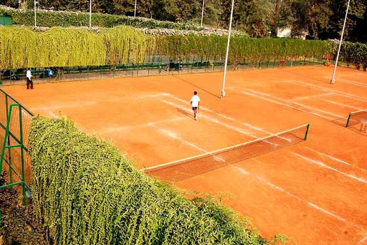 Sport venue,Tennis court,Tennis,Tennis player,Racquet sport,Grass,Sports,Soft tennis,Ball game,Net